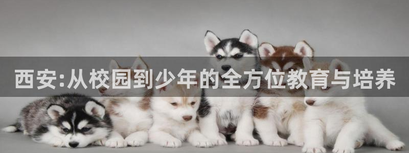 必一体育app下载