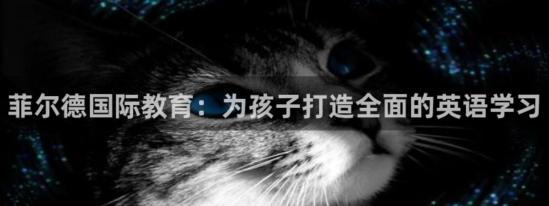 必一体育下载app