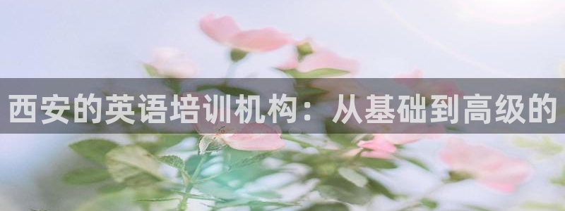 必一体育是啥