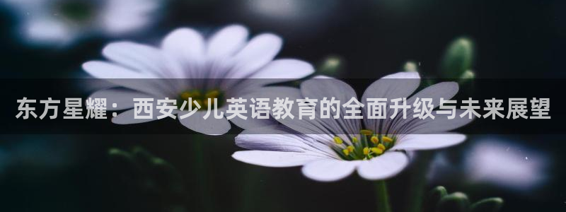 必一体育验证码