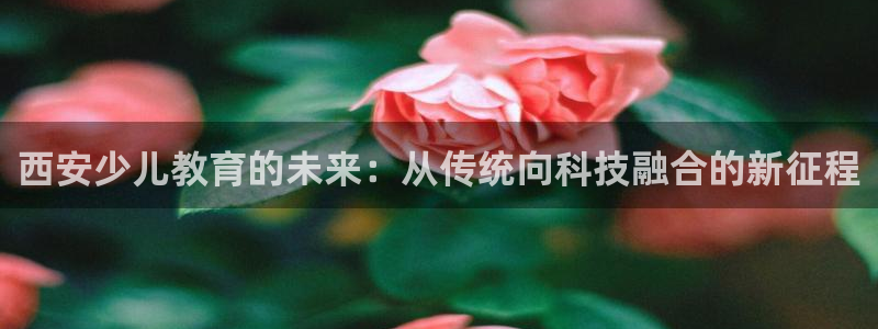 必一体育下载移动版
