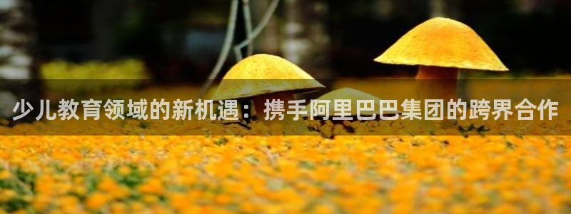 必一体育APP