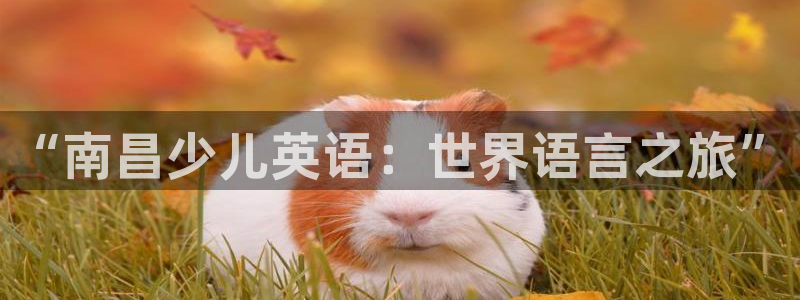 必一体育在线官网