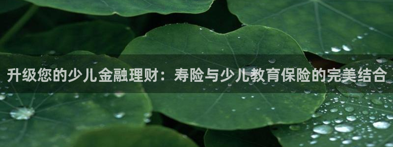 必一体育sport