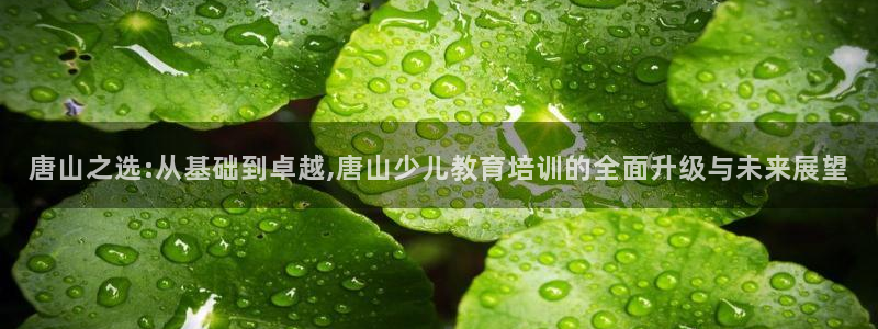 必一体育在线下载