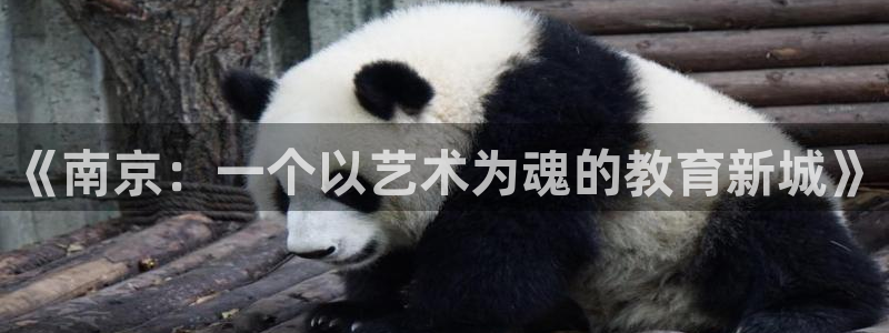 必一运动·(B-Sports)土豆