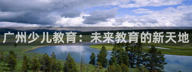 必一体育电子app