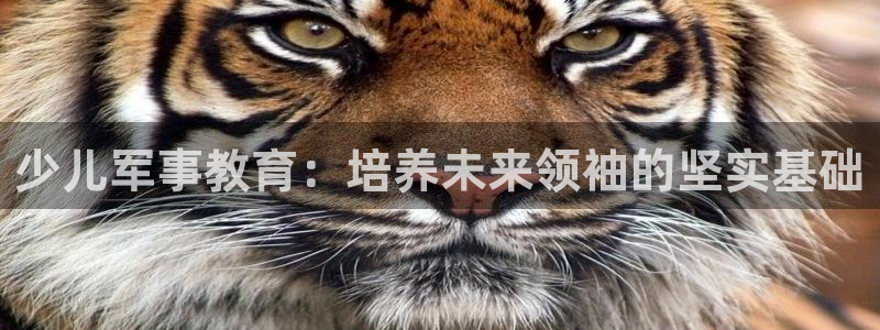 必一体育app下载最新版本
