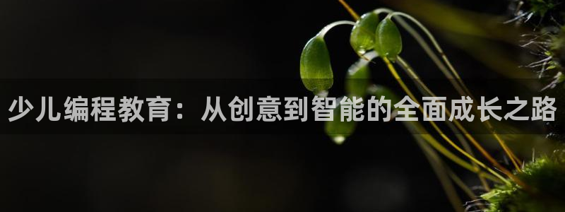 必一体育sport下载