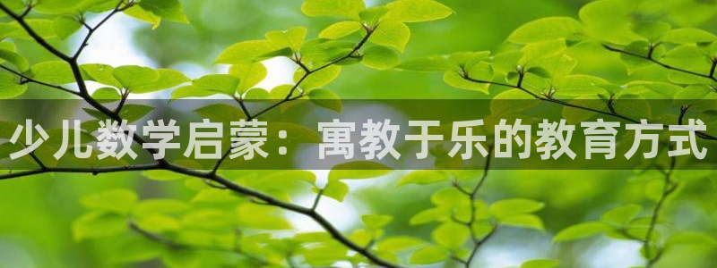必一体育官网ios下载