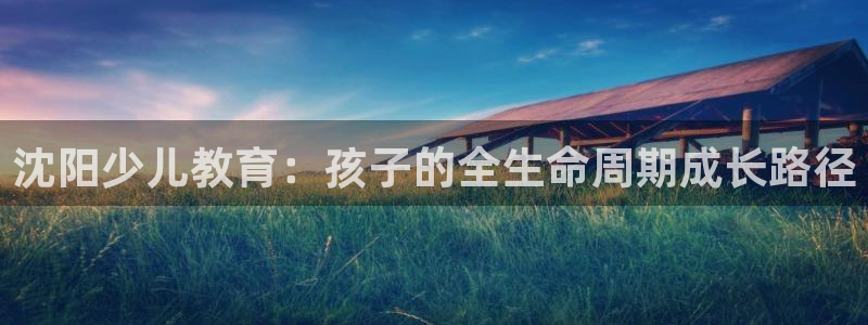 必一体育运动平台官网