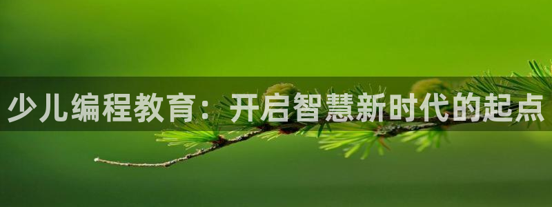 必一体育手机下载