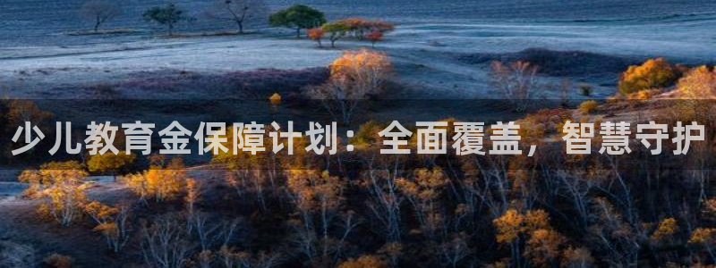 必一体育合法吗