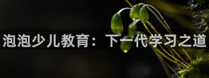 必一体育官网网址