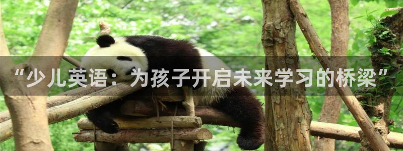 必一运动体育app