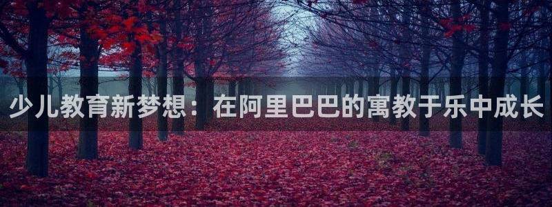 必一体育官方网站入口