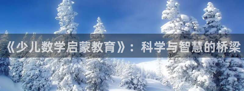 必一体育运动平台官网