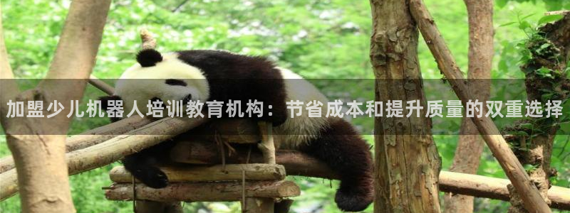 必一运动 b 体育素描版