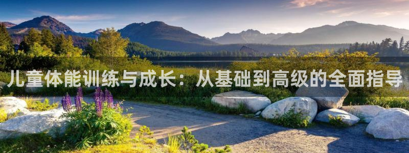 b体育必一运动网页版在线登录入口