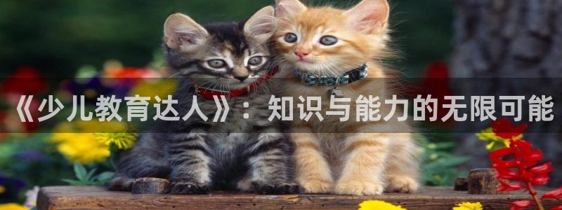 必一体育app下载装机吧