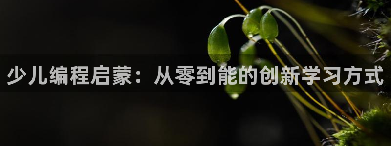 必一运动听的歌