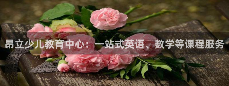 必一体育运动app下载