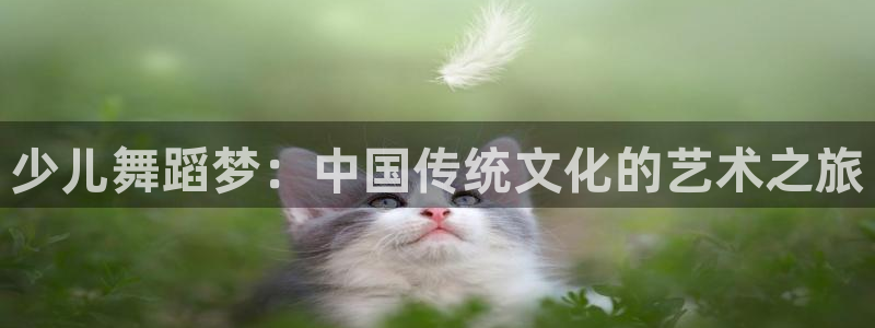 必一运动验证码