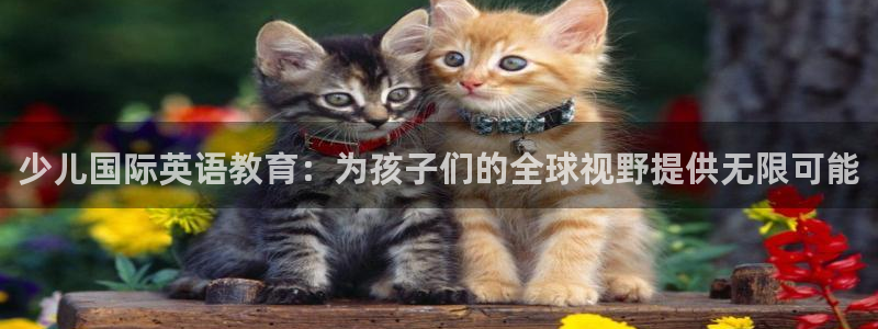 必一体育流水线是什么意思