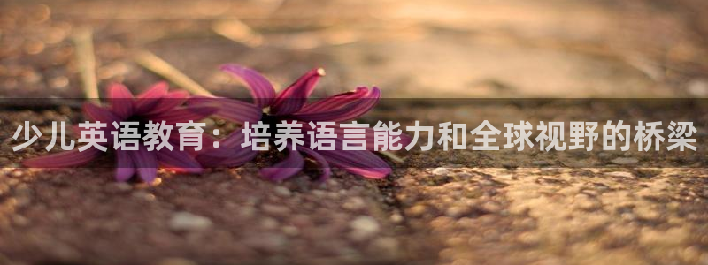 必一体育sport网页版