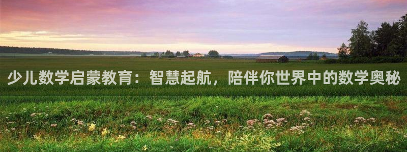 必十二和必一的副作用