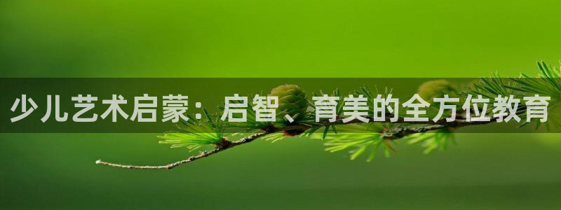 必一体育最新官网入口首页