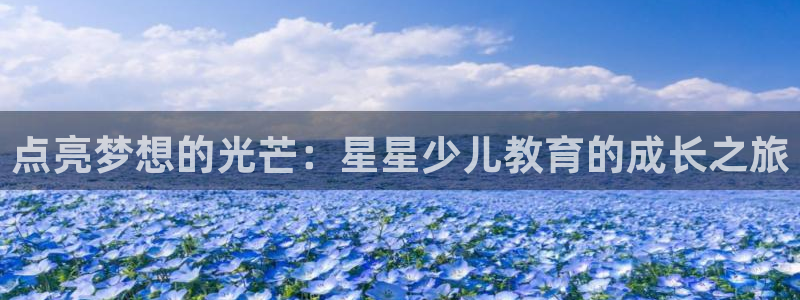 必一体育登录入口APP