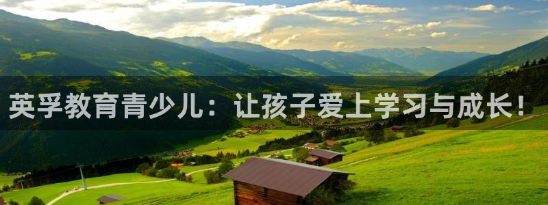 必一体育手机下载