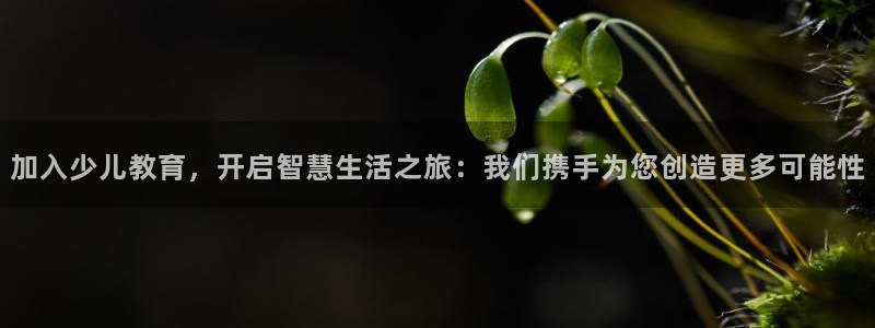 必一运动·(B-sports)