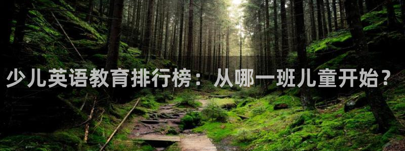 必一体育sport下载