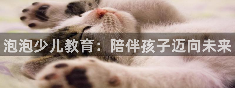 必一运动sport网页版