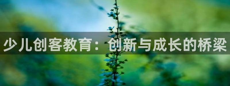 必一体育sportB体育