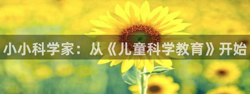 必一体育秀给网