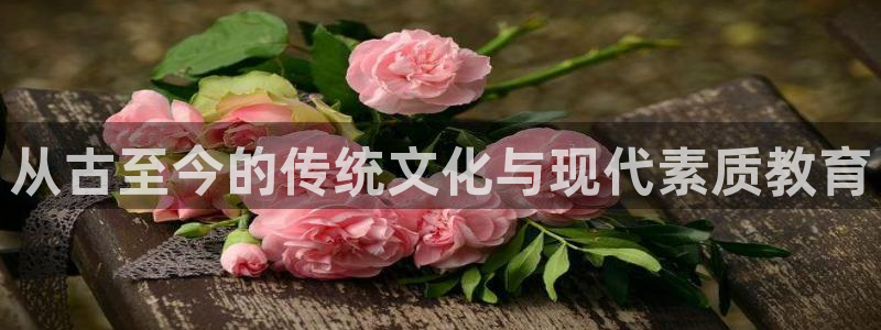 必一体育官方网站入口