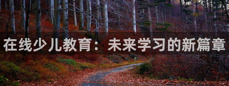 必一体育sport官网