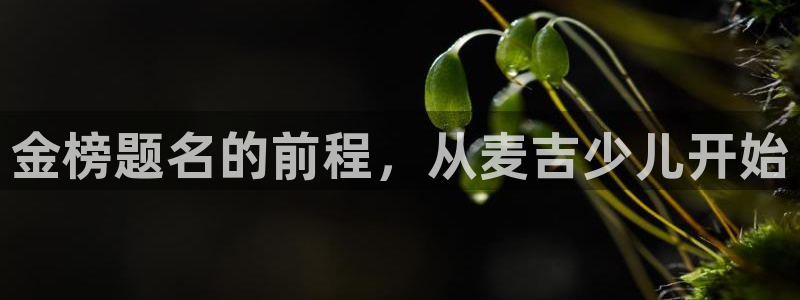 必一体育游戏特色