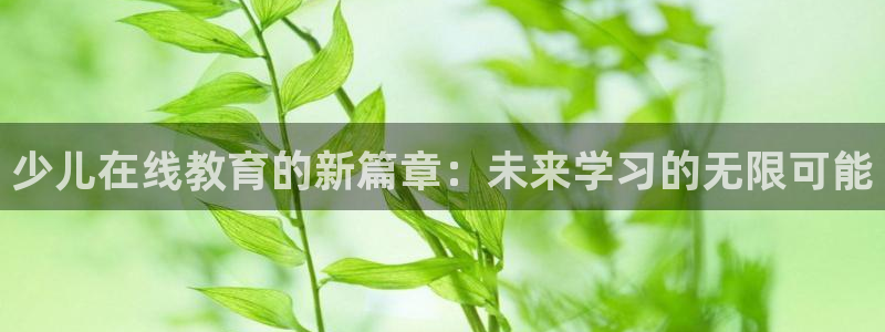 必一体育最新官网入口首页