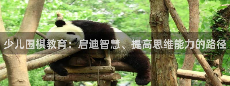 必一体育电子app