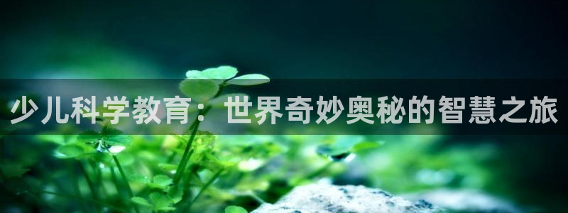 必一运动·(b-sports)官方网站