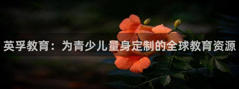 必一体育app下载