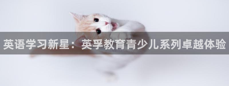 必一体育手机下载