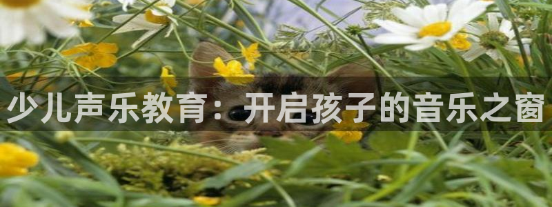 必一体育验证码