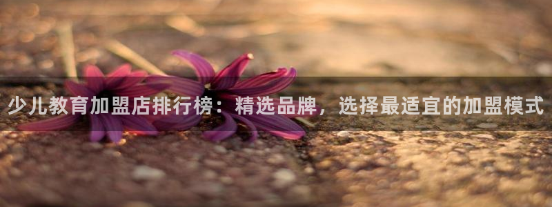 必一体育下载一样吗