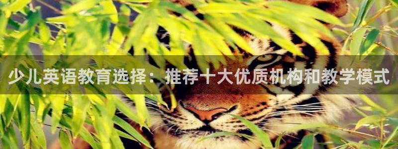 必一运动·(B-Sports)