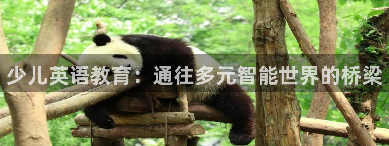 必一运动短信